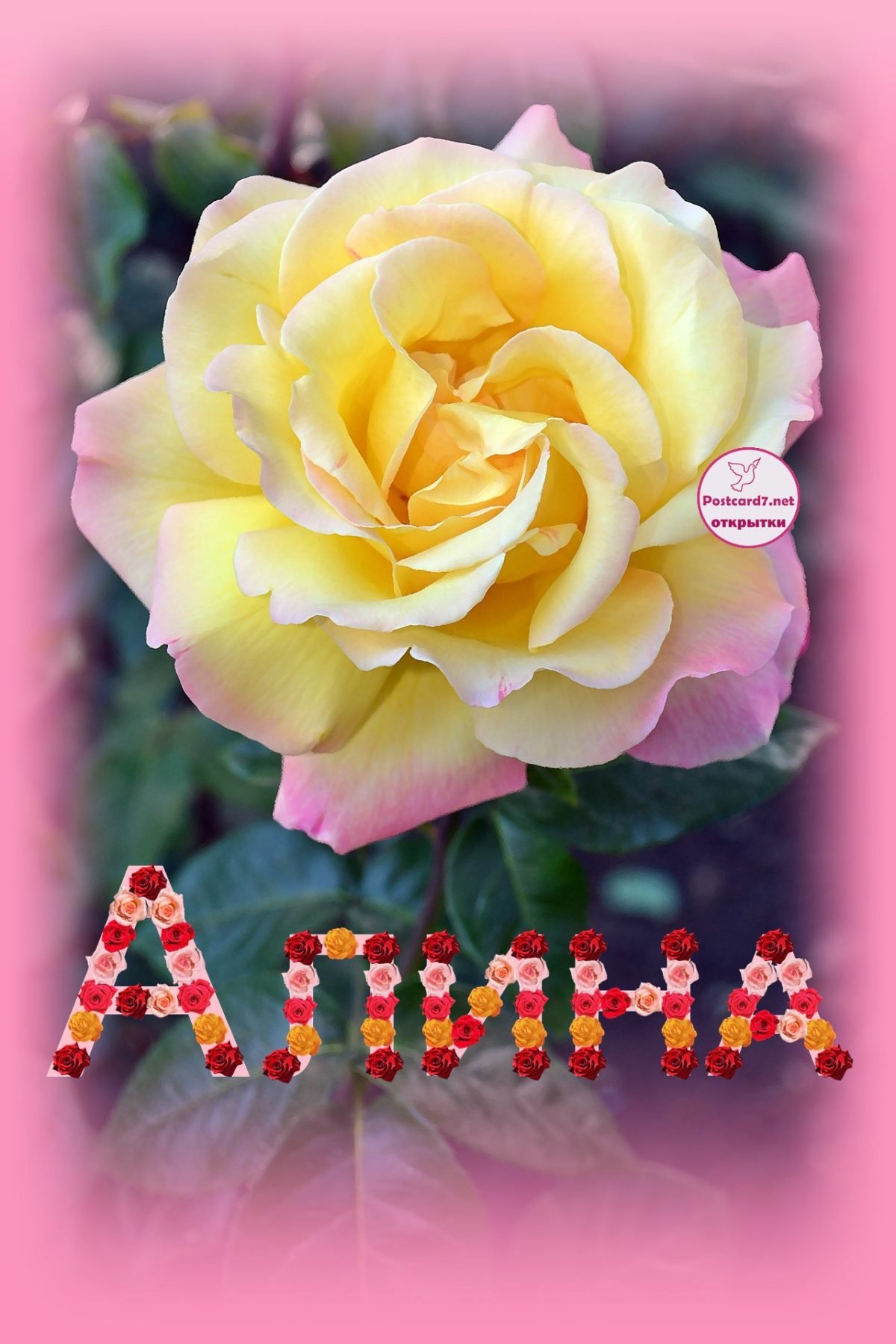 Цветы для Алины