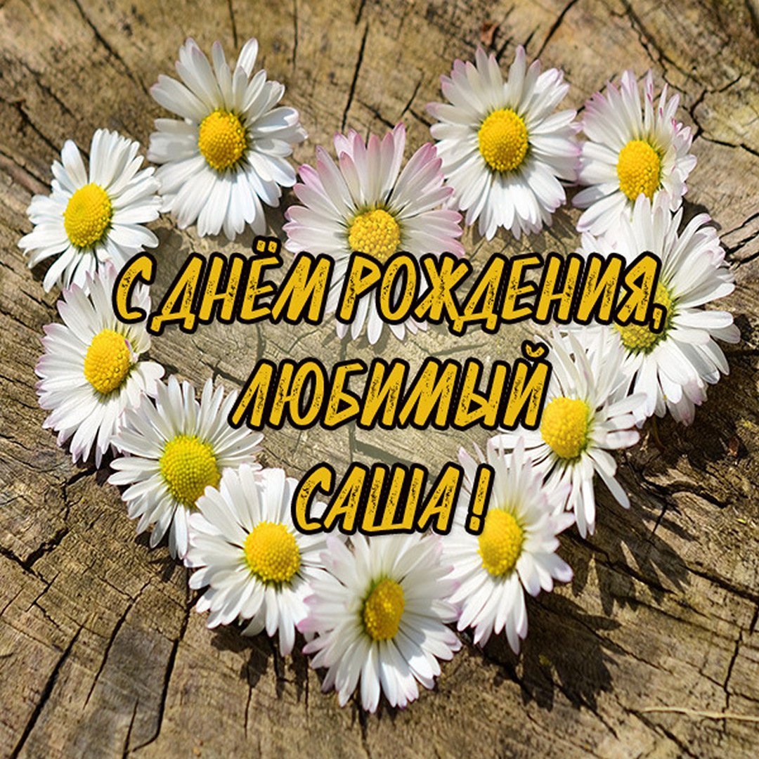 Полина я тебя люблю