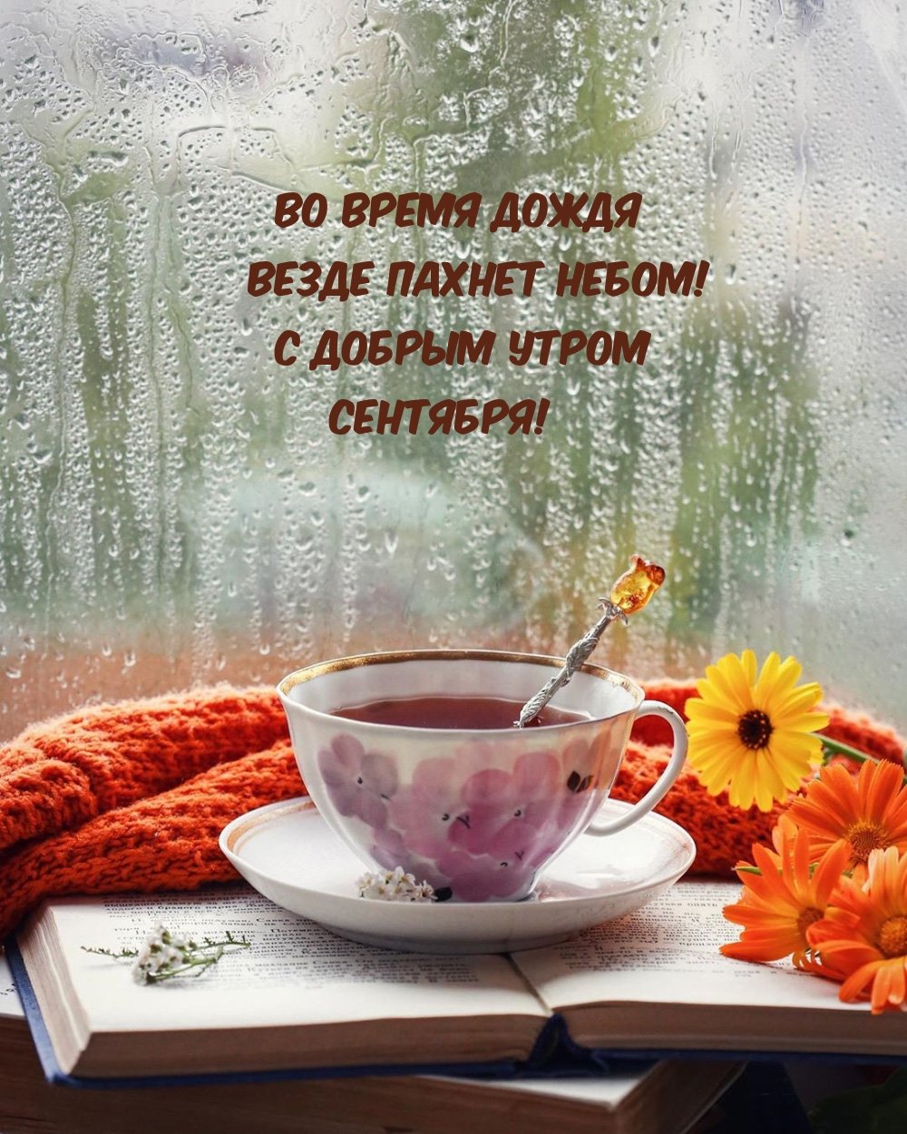 С дождливым утром