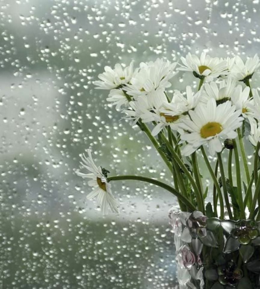 Доброе дождливое утро