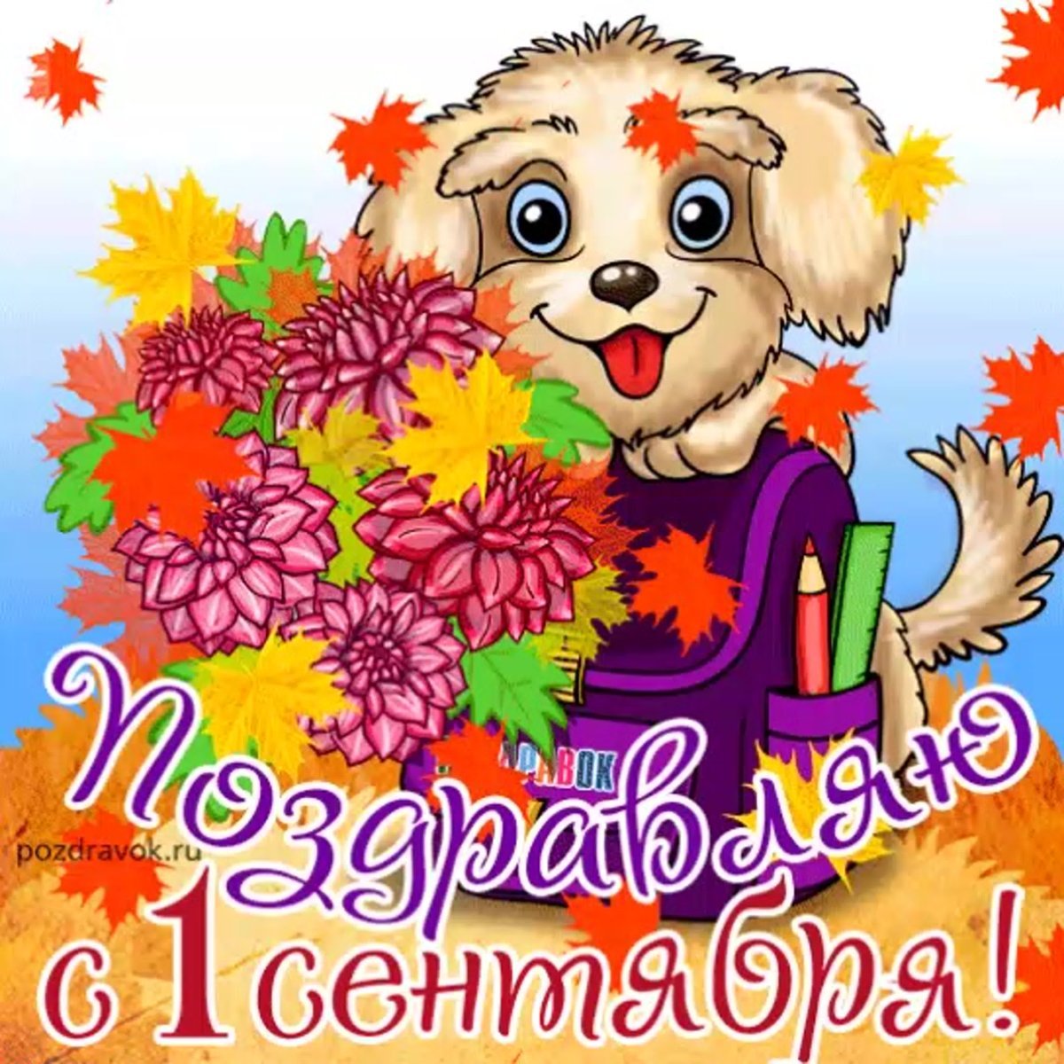 С днем знаний поздравление