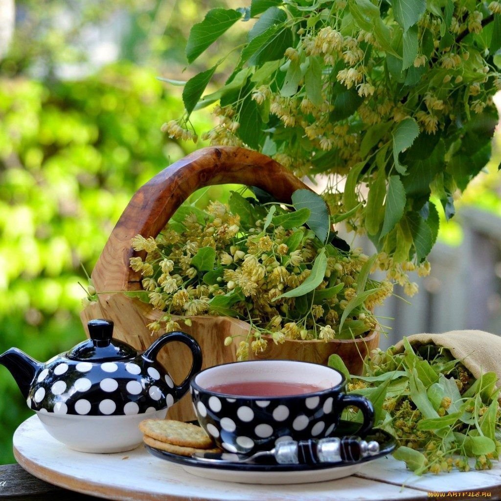 Позитивные пожелания утром