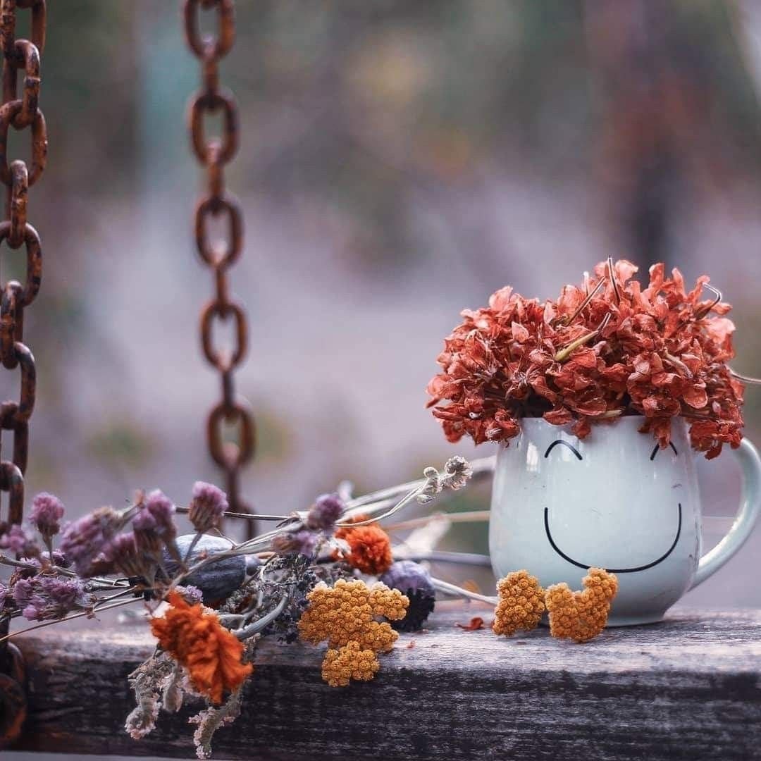 Стильные поздравления с добрым утром