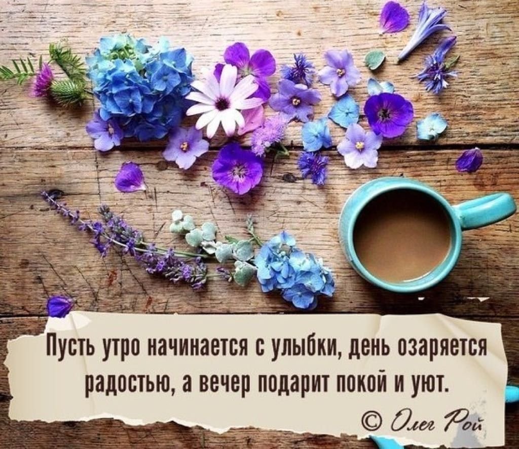 Доброе утро афоризмы
