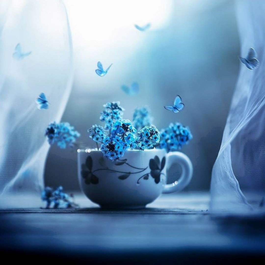 Душевного равновесия и гармонии