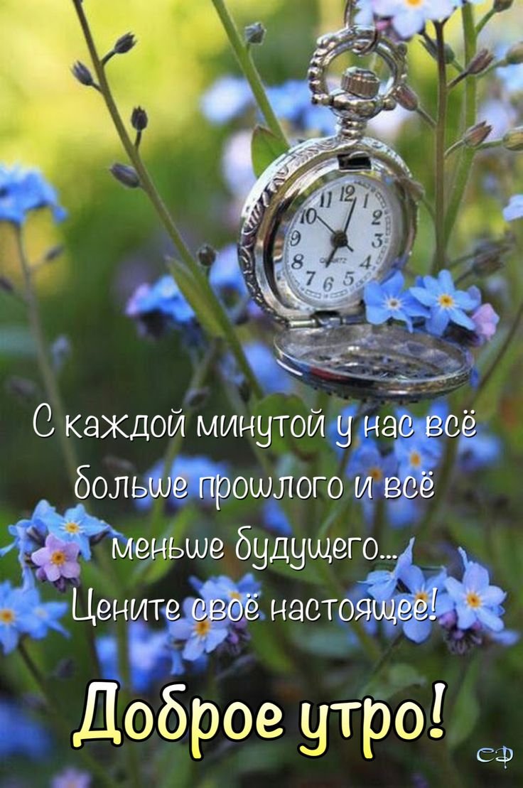 Доброе утро необычные