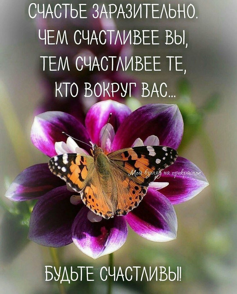 Милые иллюстрации