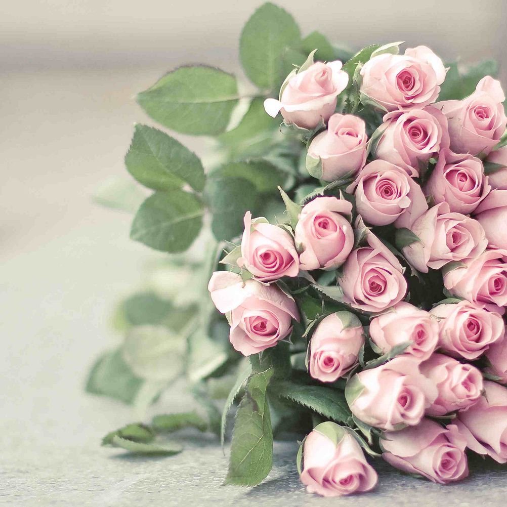 С днем рождения нежные розы