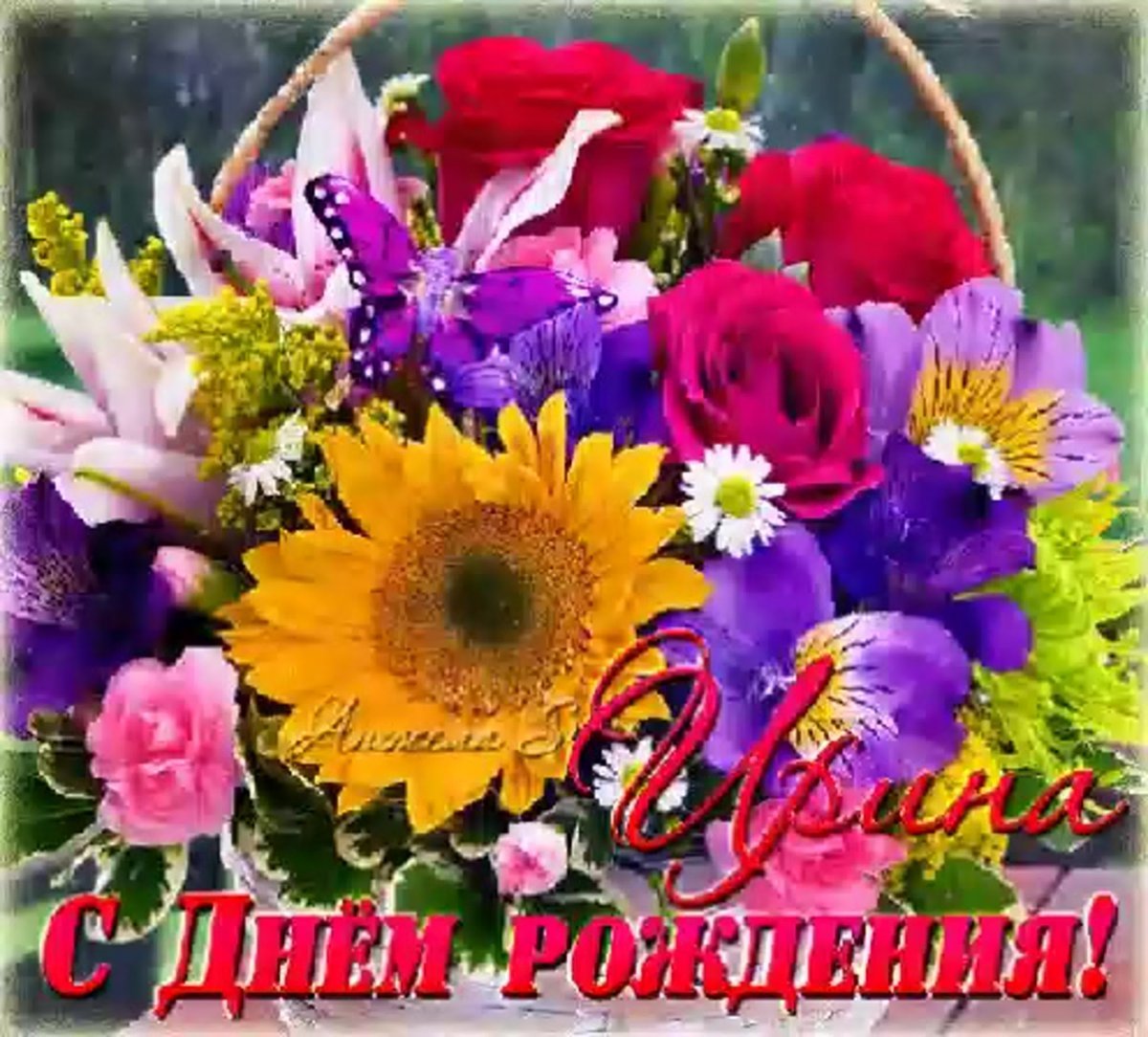 С днём рождения Иришка