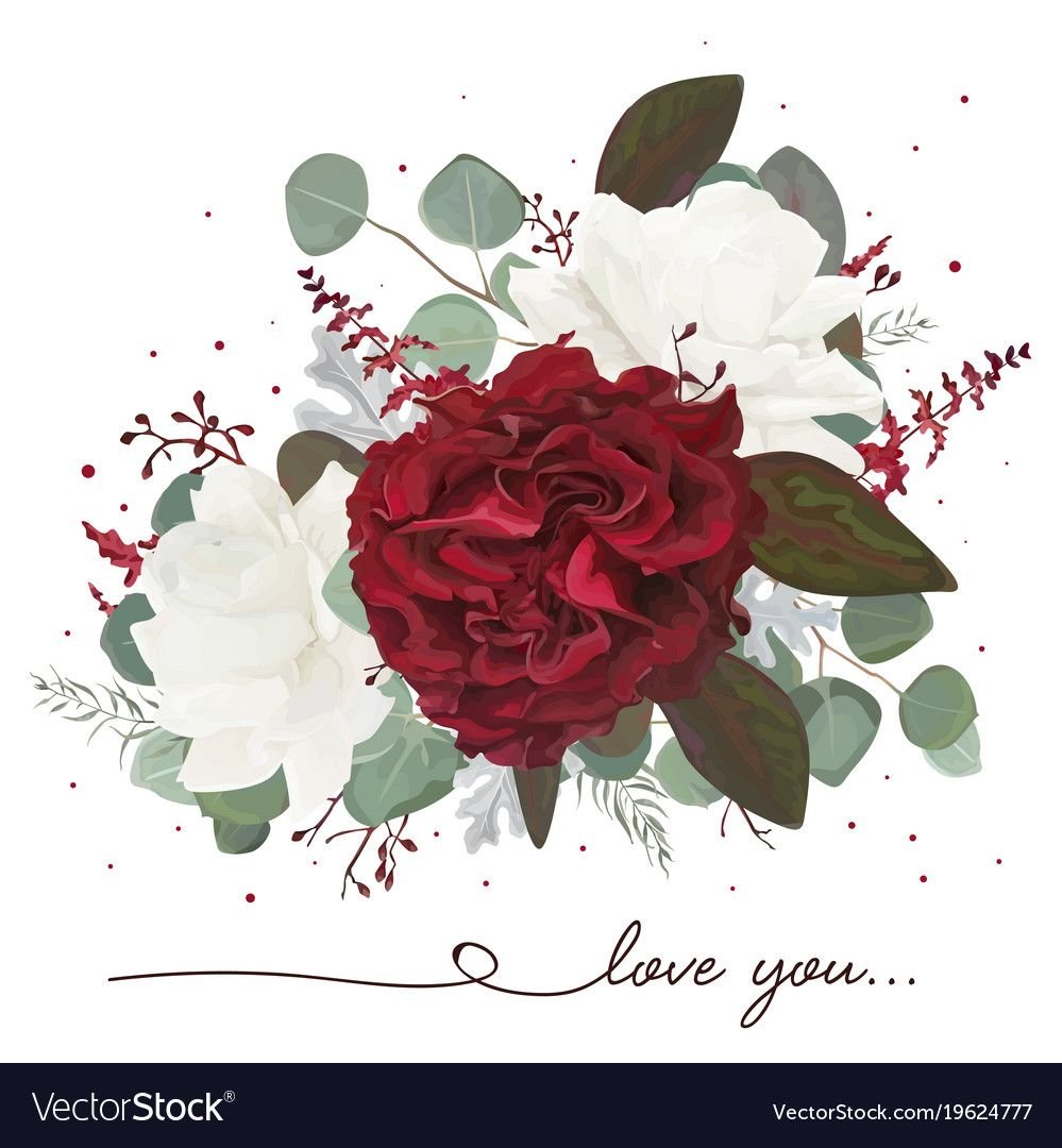 Бордовые пионы акварель вектор