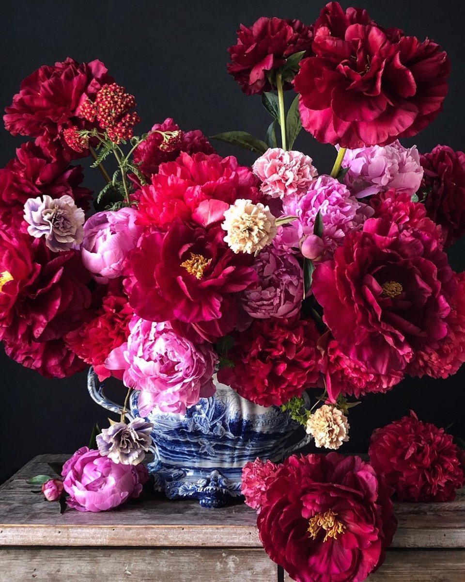 Пион красный