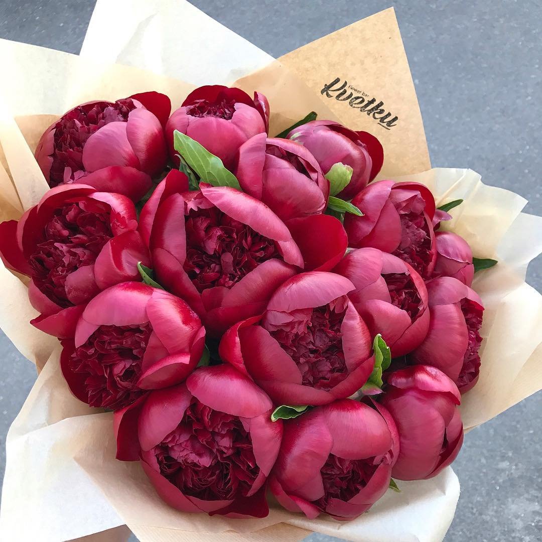 Цветы на деревянном фоне