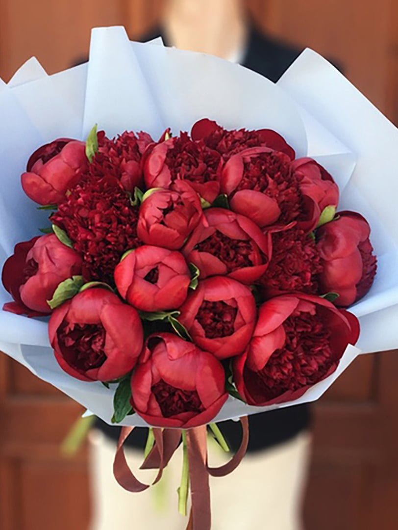 Букет пионов красные в руках
