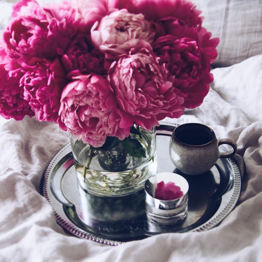 Пионы на белом фоне