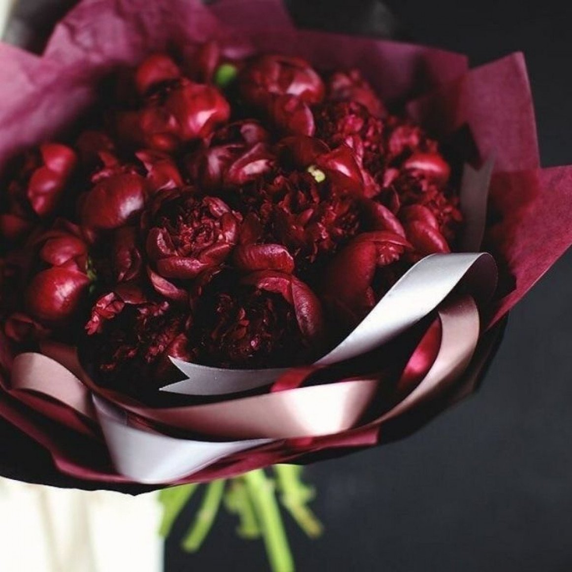 Пион ред Шарм