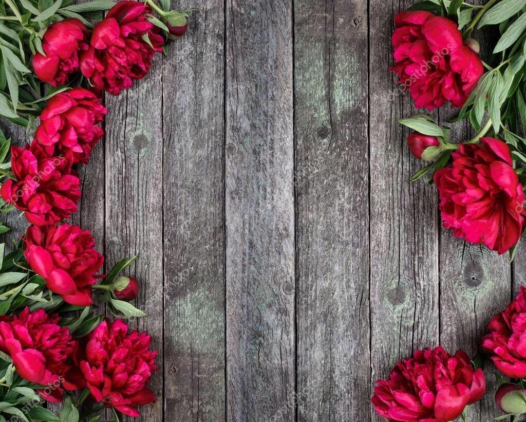 Букет бордовых пионов