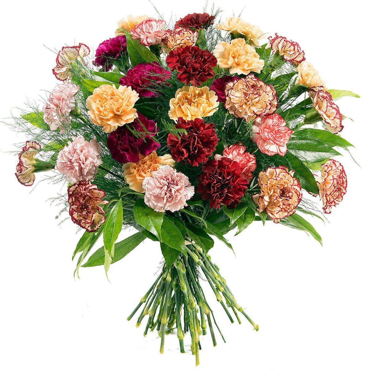 Диантус микс цветы