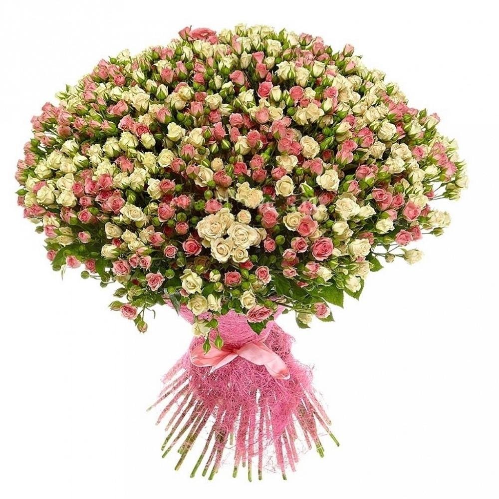 101 Кустовая роза