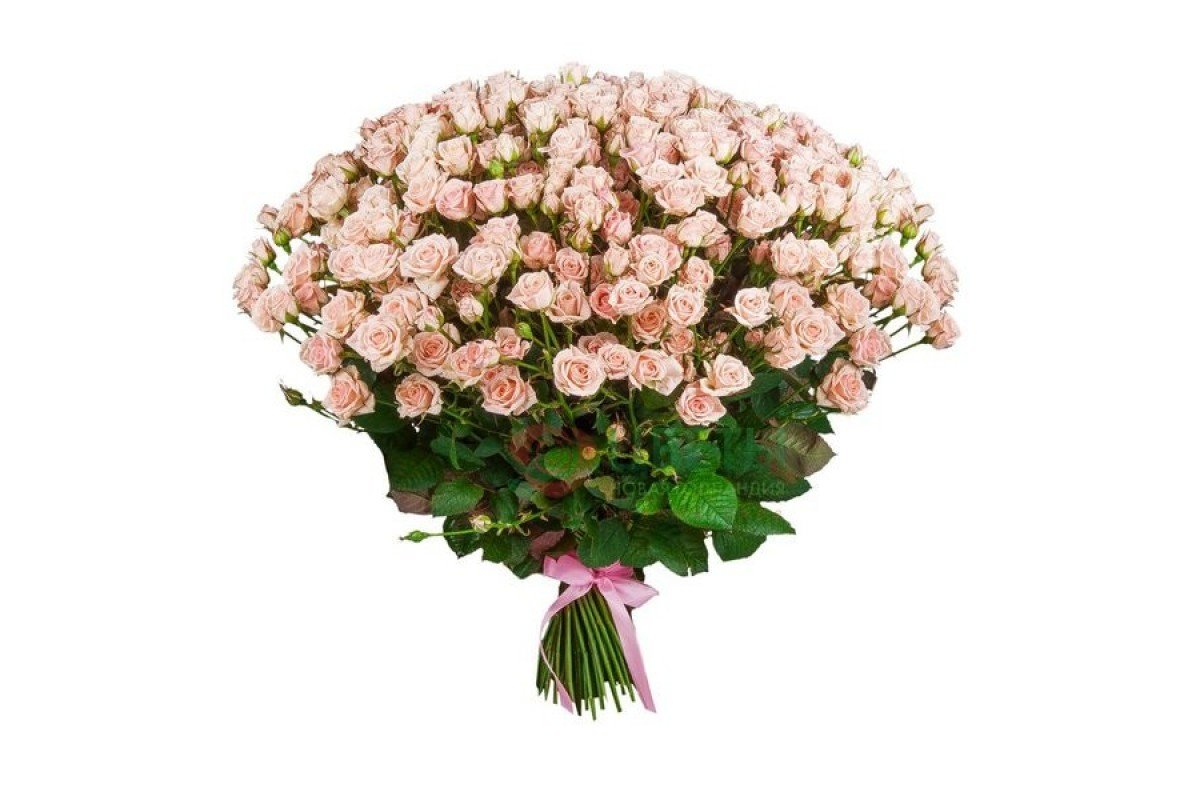 Роза кустовая Лидия