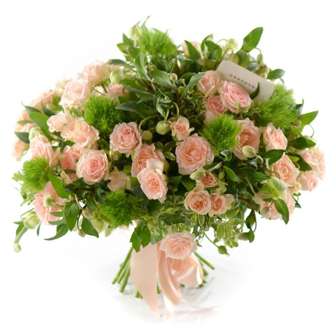 Диантус с кустовой розой