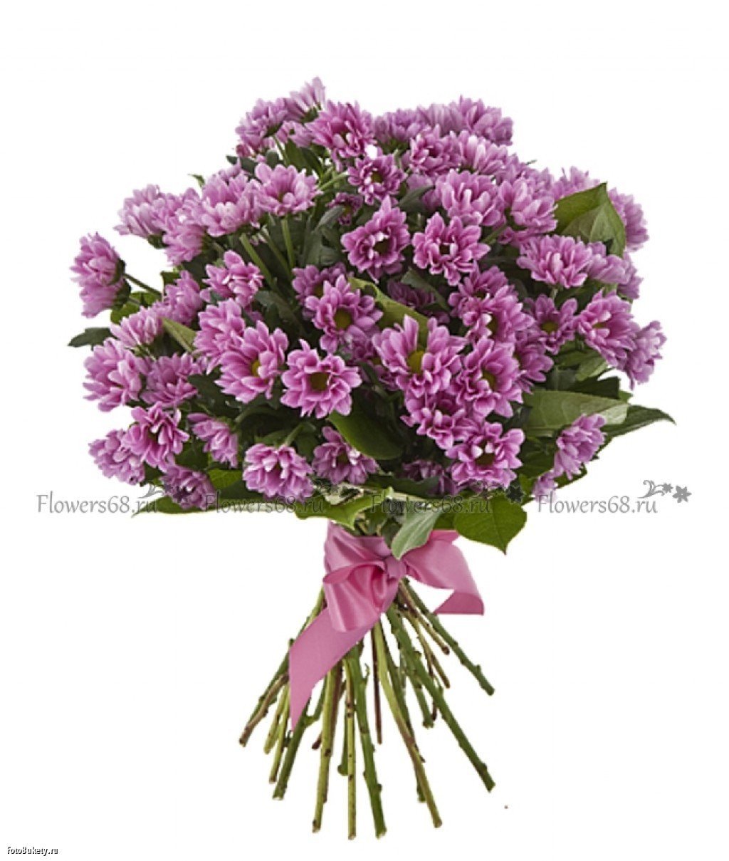 Сиреневая Хризантема кустовая букет