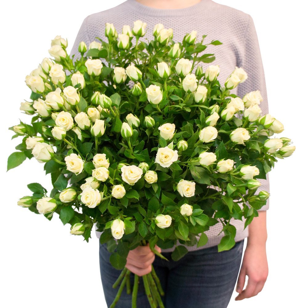 Роза кустовая Snowflake