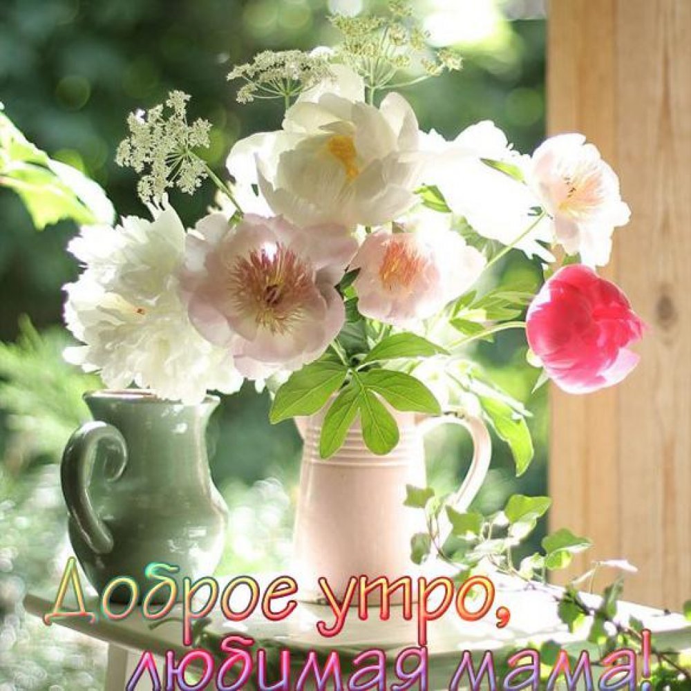 Утренние цветы