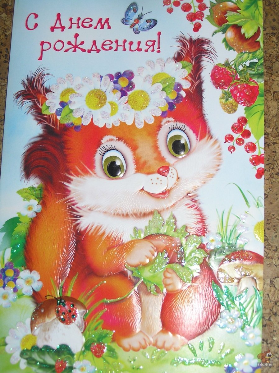 Открытки с белками с днем рождения