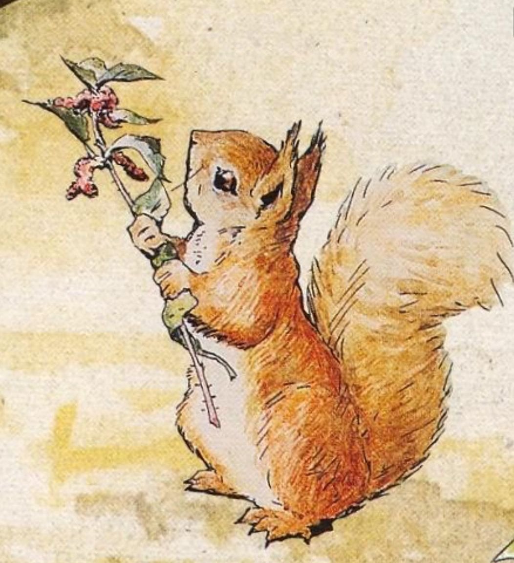 Белка иллюстрация