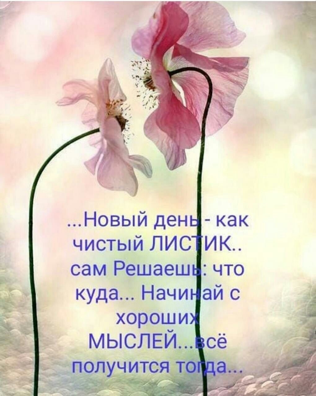 Цитаты с добрым утром и хорошего дня