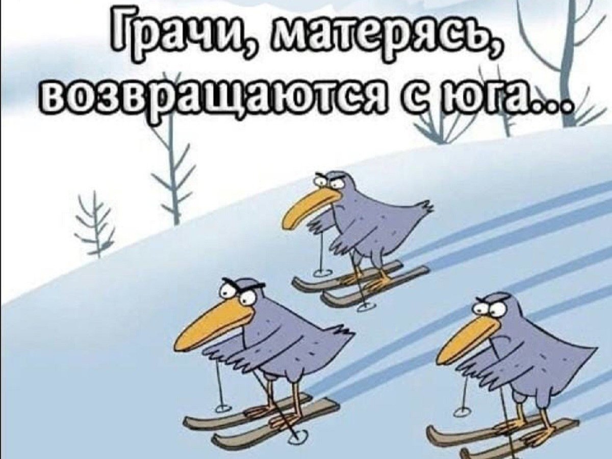 Весенний юмор в картинках