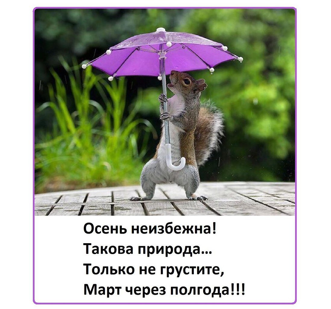 Открытка в дождливую погоду для поднятия настроения
