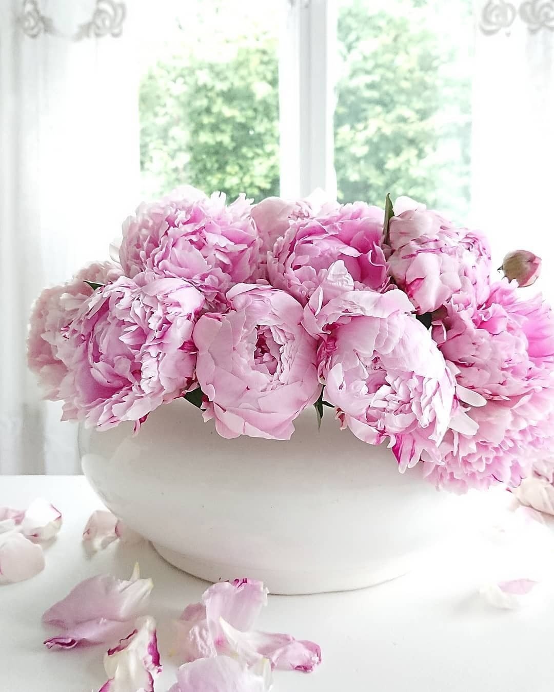 Розовые пионы