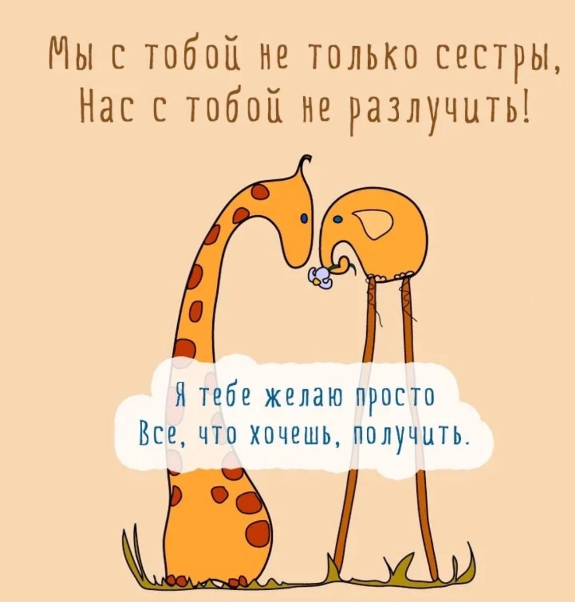 С днём рождения сестра