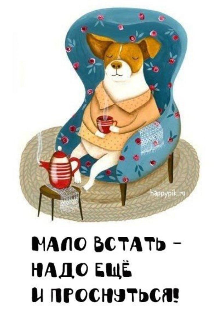 Пожелания доброго утра прикольные