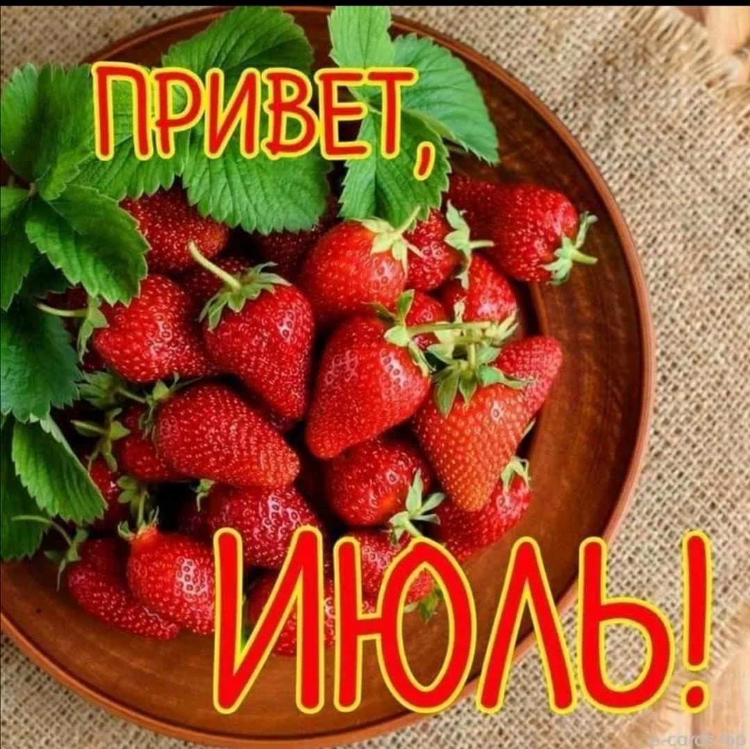 Открытки с добрым утром с ромашками