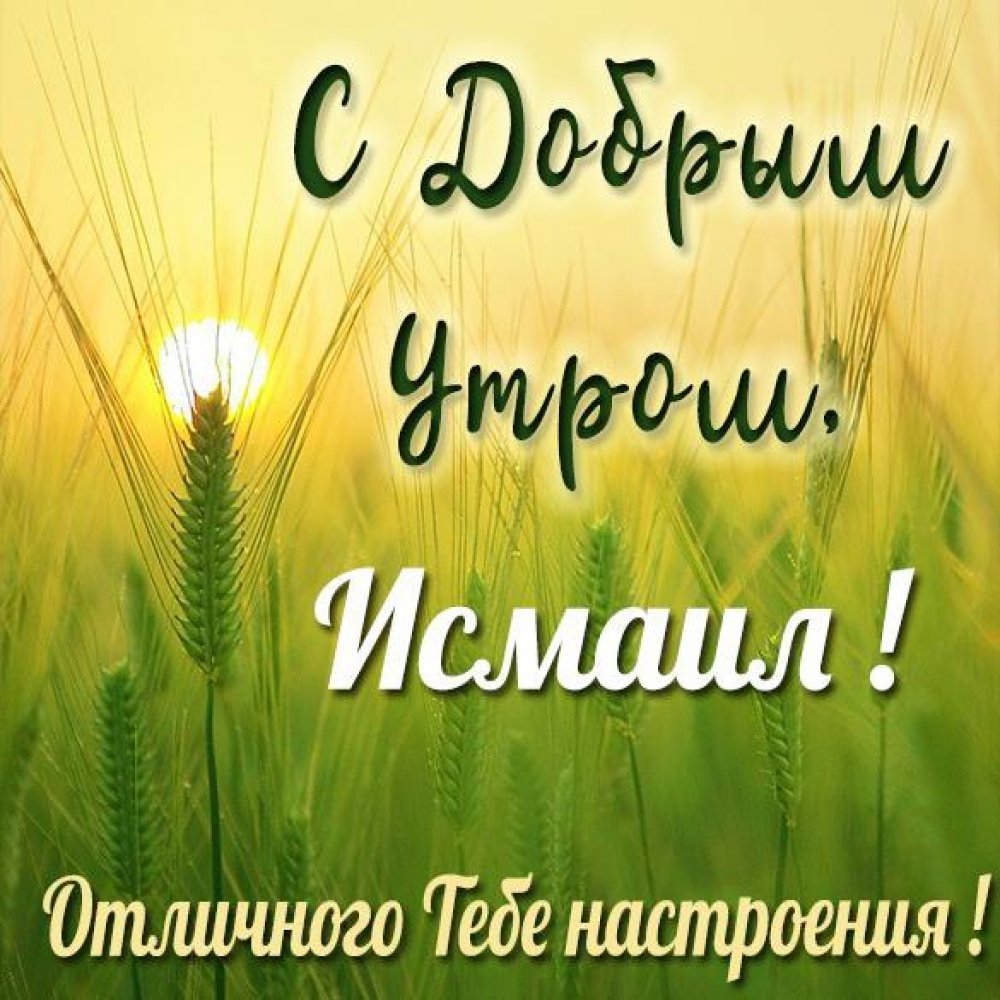 Доброе утро семья