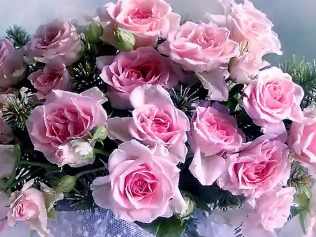 Открытка самой обаятельной и привлекательной