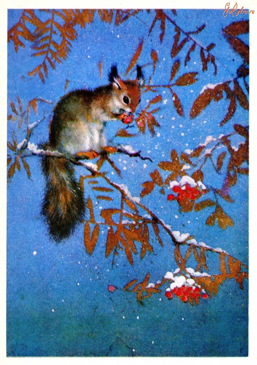 Алексей Юрьевич Исаков художник-анималист