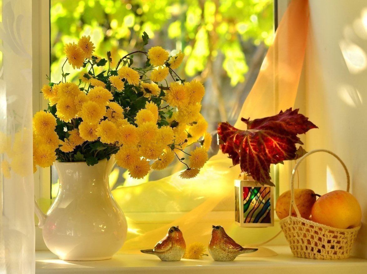 Доброго осеннего утра и хорошего дня