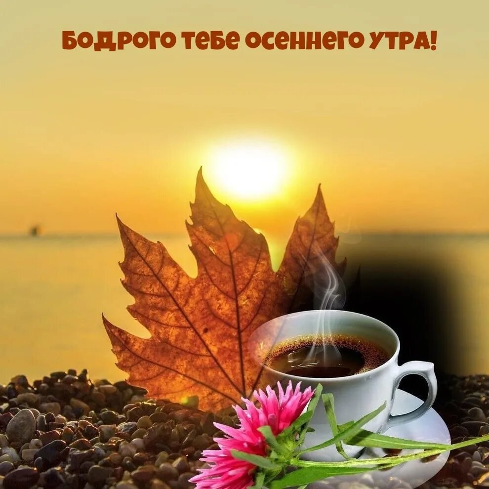 С первым осенним днем