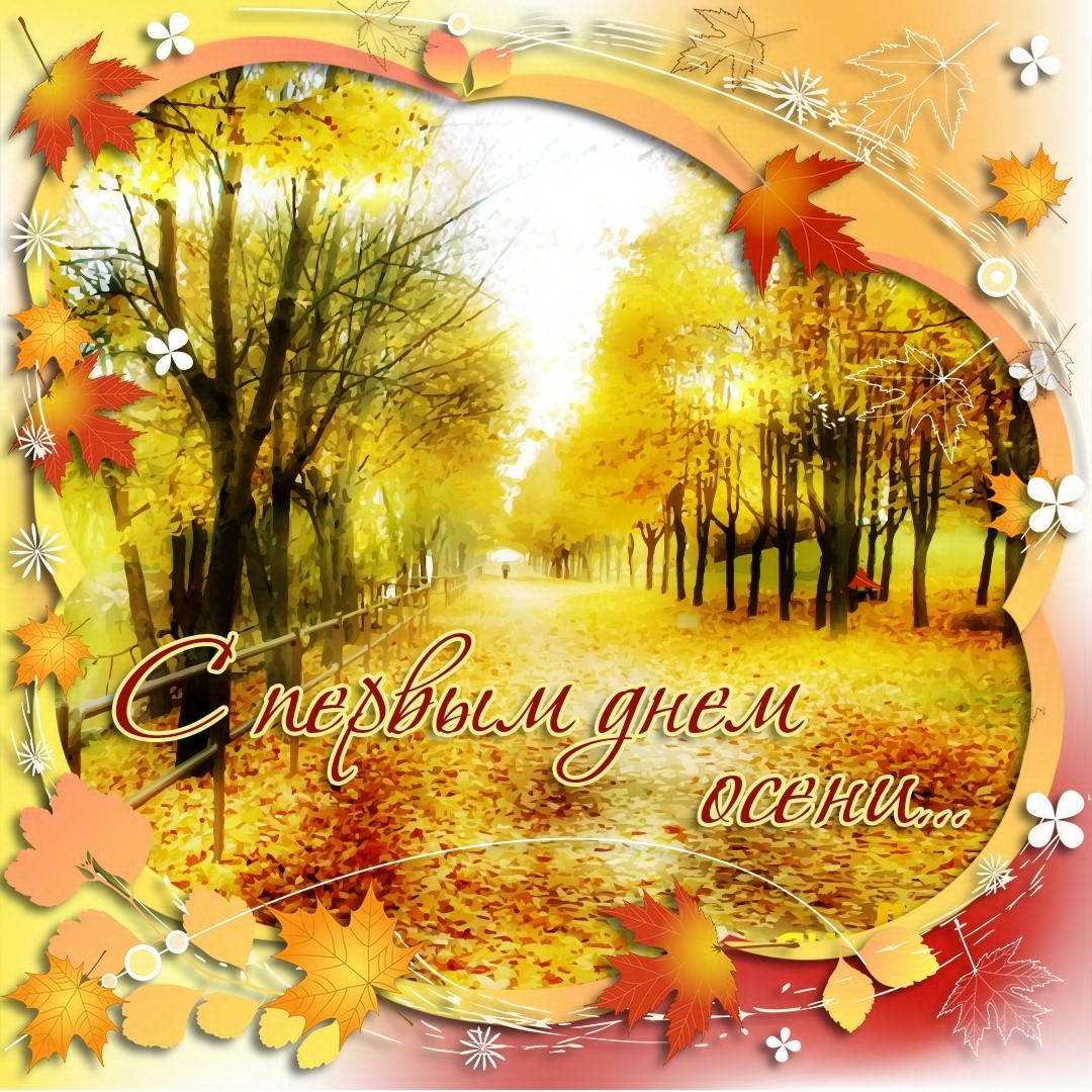 Август астры август звёзды август грозди винограда и рябины август