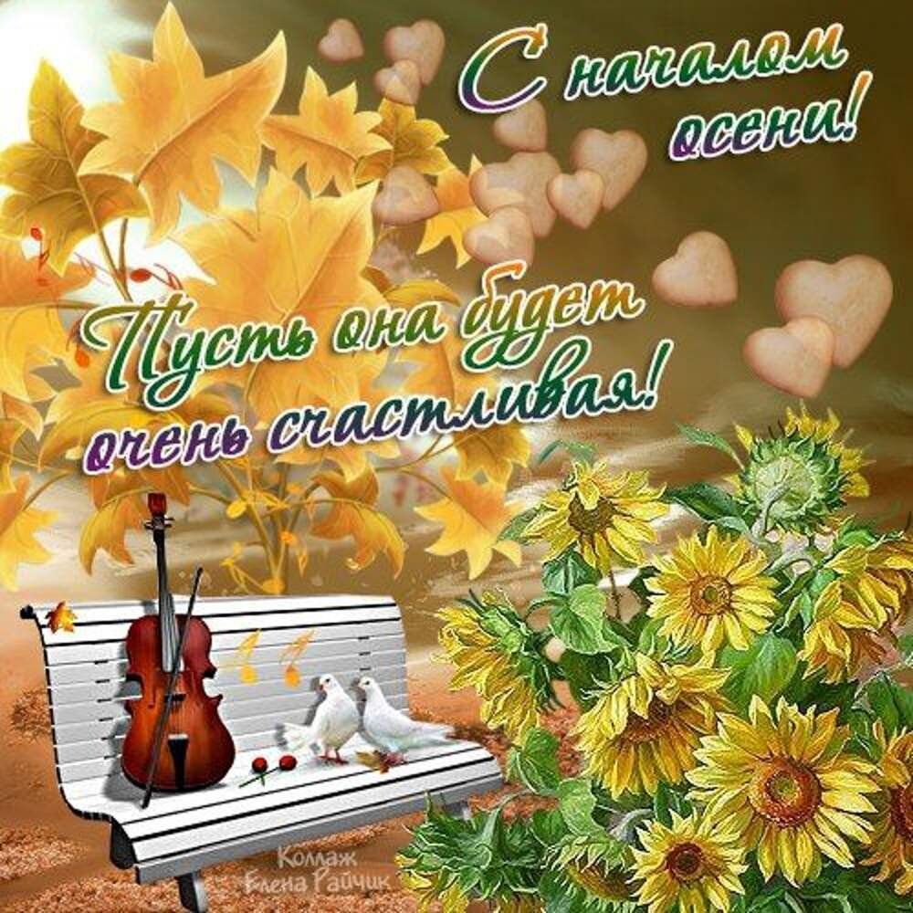 Доброе утро осень с белками