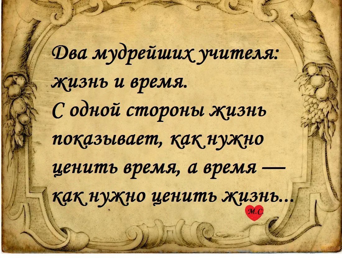 Мудрость жизни