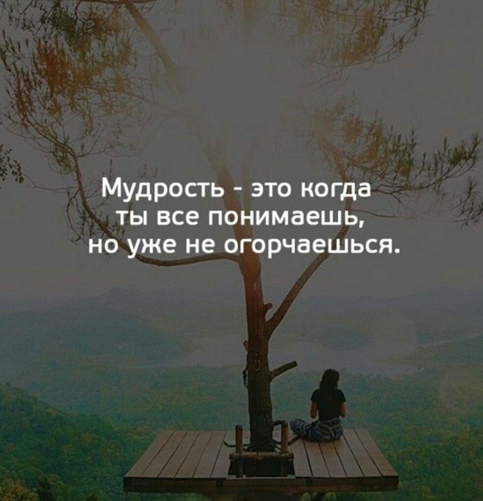 Мудрость это когда ты все понимаешь но уже не огорчаешься