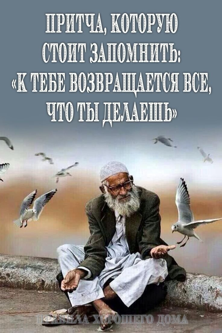 Мудрые высказывания