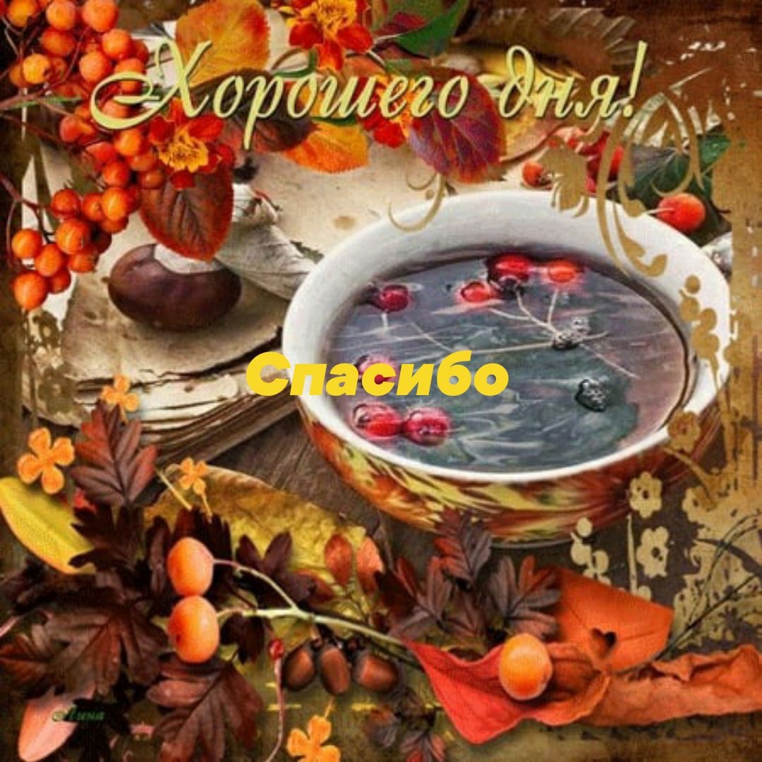 Доброго осеннего дня