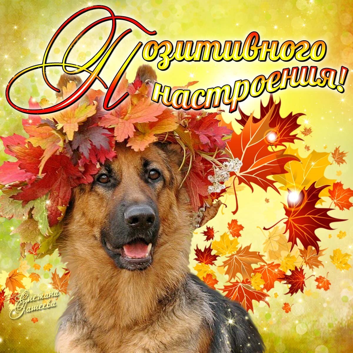 Осеннего дня и отличного настроения