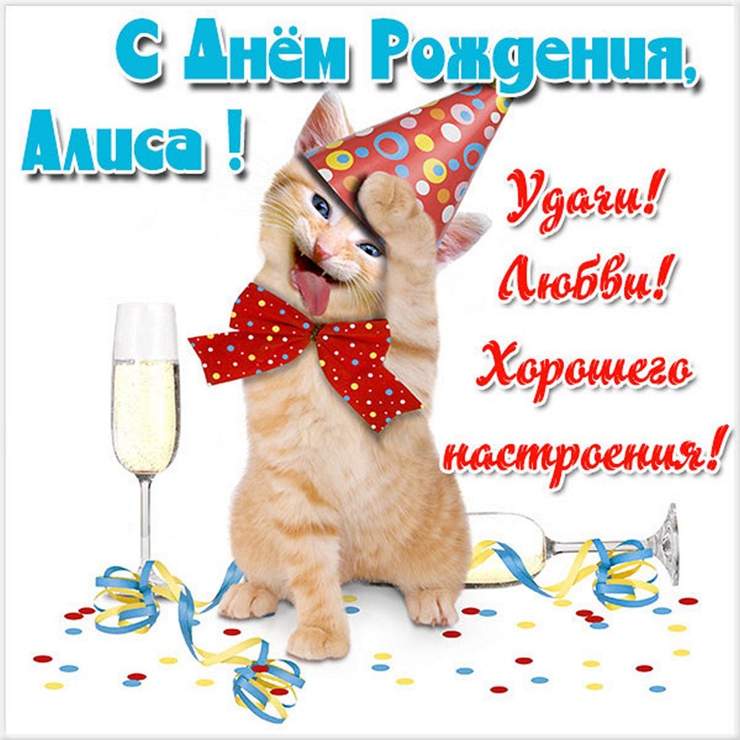 С днем рождения тимофей открытки