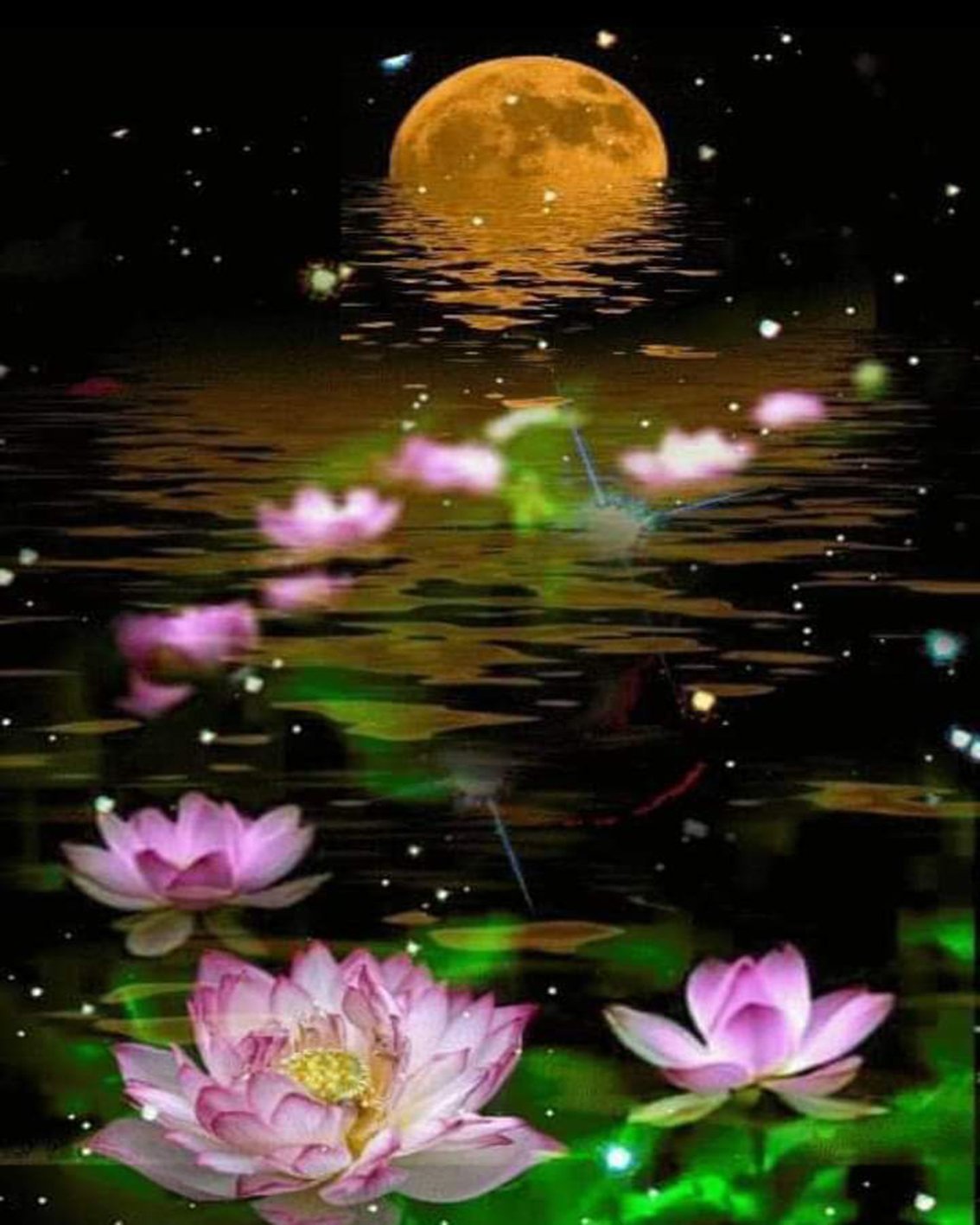 Цветы лотоса спокойной ночи